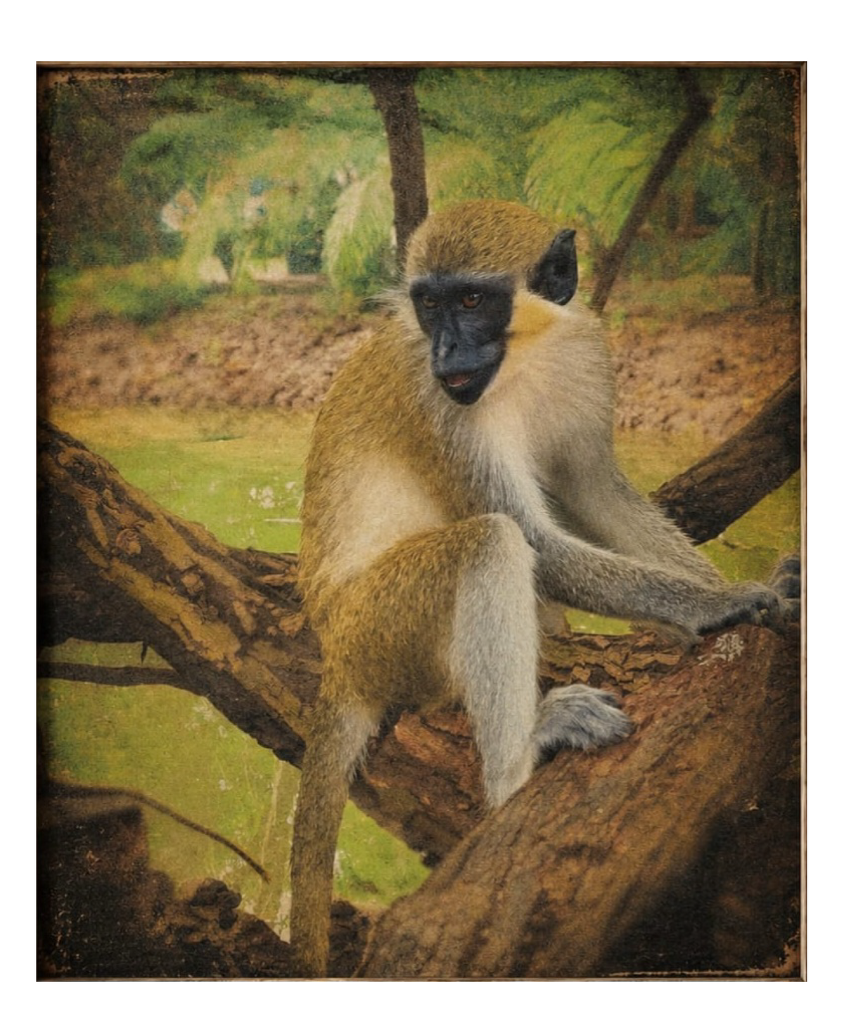 WILDLIFE & NATURE